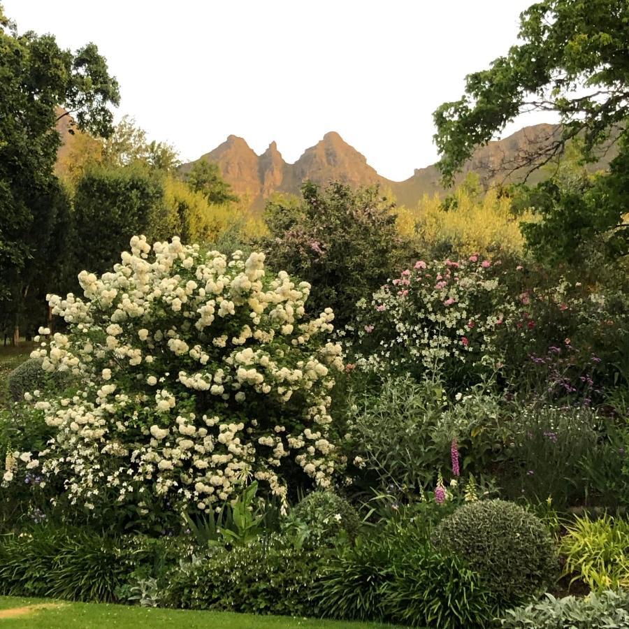 Longfield House Vila Stellenbosch Exterior foto